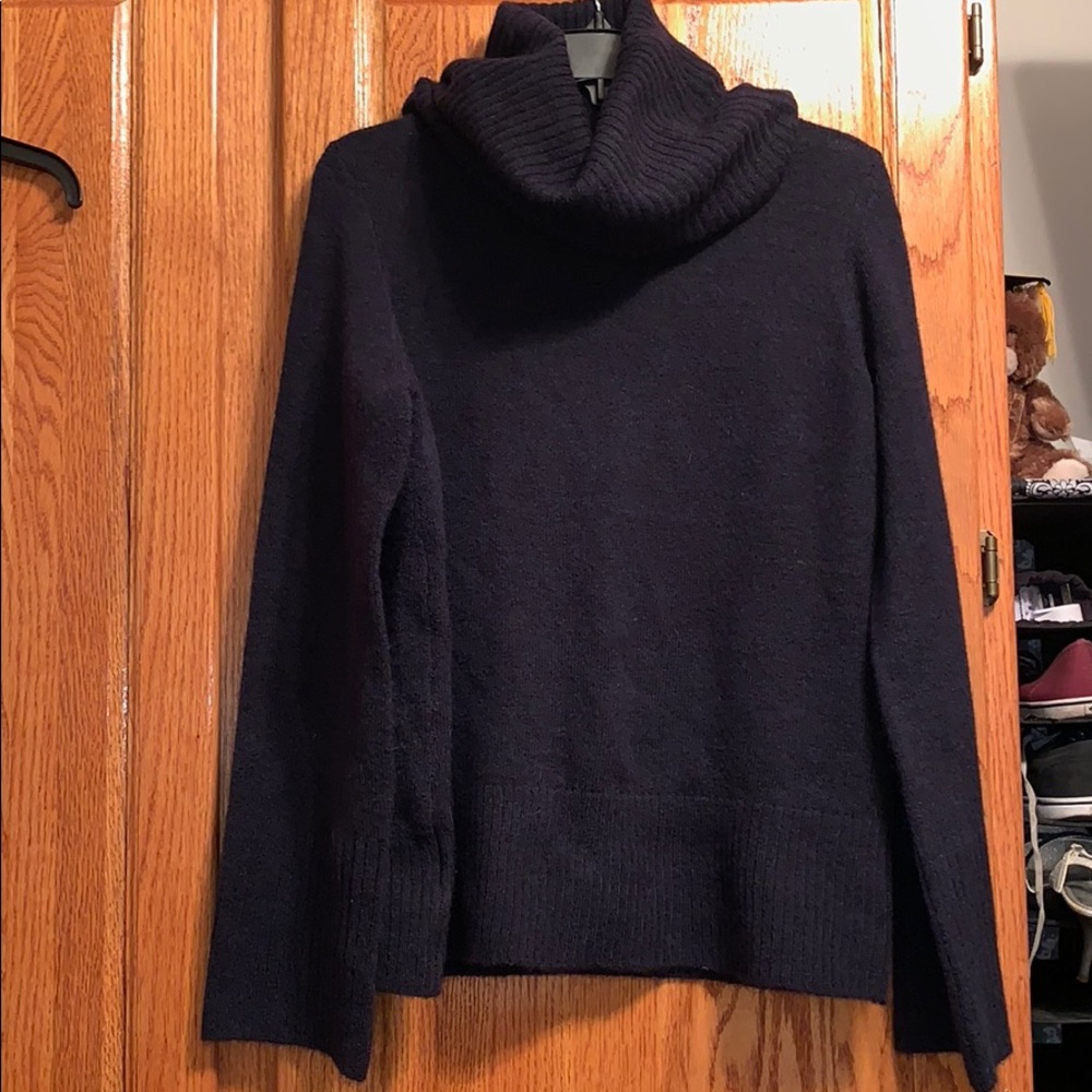 Ann Taylor Sweater